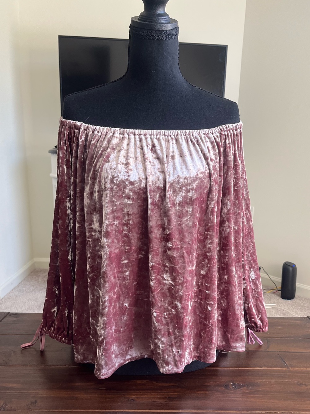 American Eagle Velvet Off-Shoulder Blouse in Rose